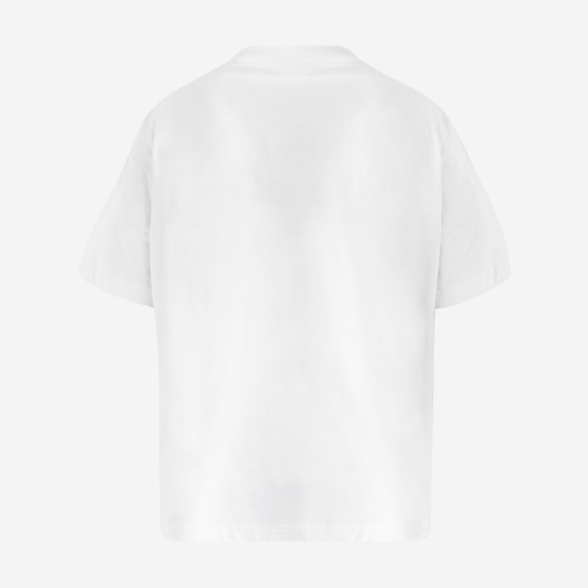 Blue Sky Inn Agave T-Shirt