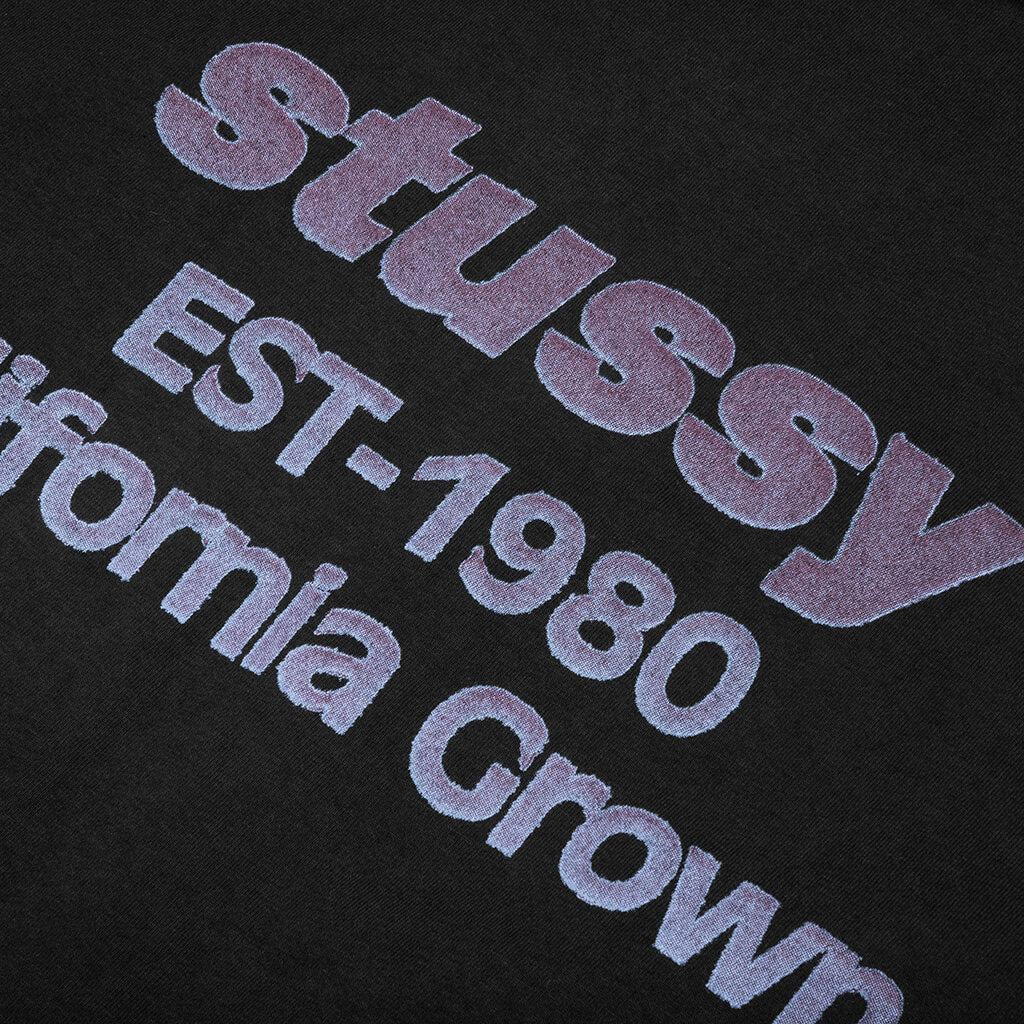 California Grown Pigment Dyed Tee - Black