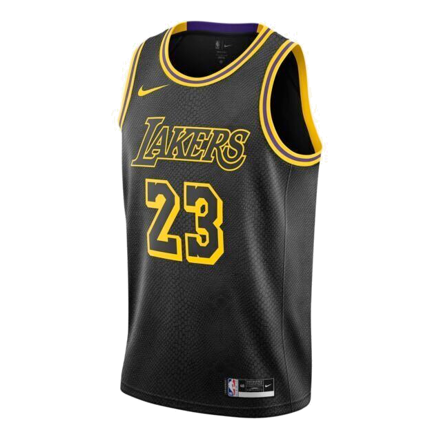 Nike NBA LeBron James Los Angeles Lakers 2021/22 Jersey #23 DJ1433-011